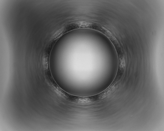 X0000116260666200911301154
