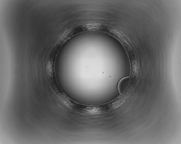 X0000116260667200911301154