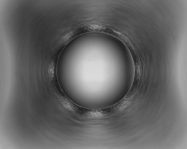 X0000116260668200911301154