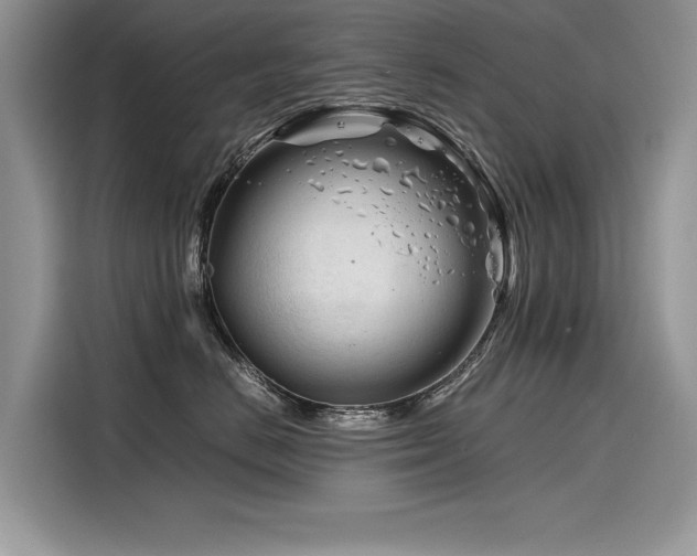 X0000116260670200911301154