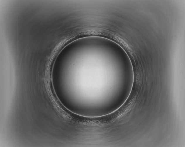 X0000116260673200911301154