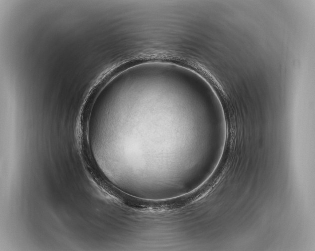 X0000116260674200911301154
