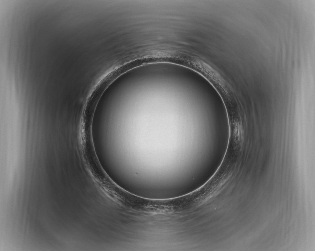 X0000116260676200911301153