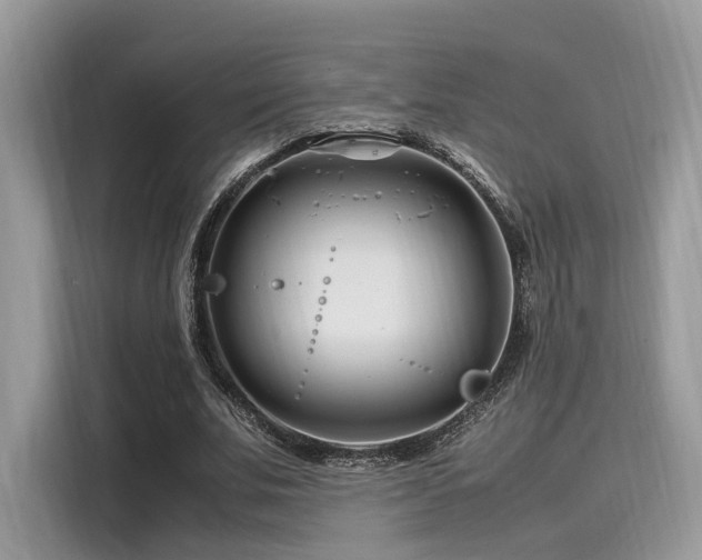 X0000116260679200911301153