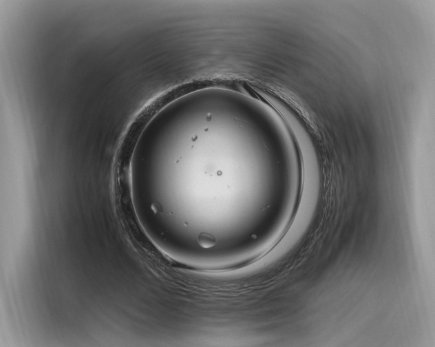 X0000116260680200911301153