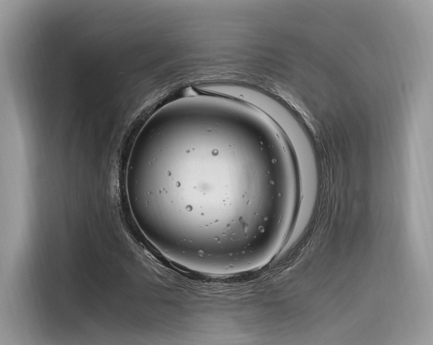 X0000116260681200911301153