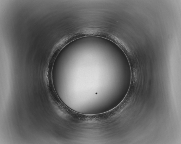 X0000116260682200911301153