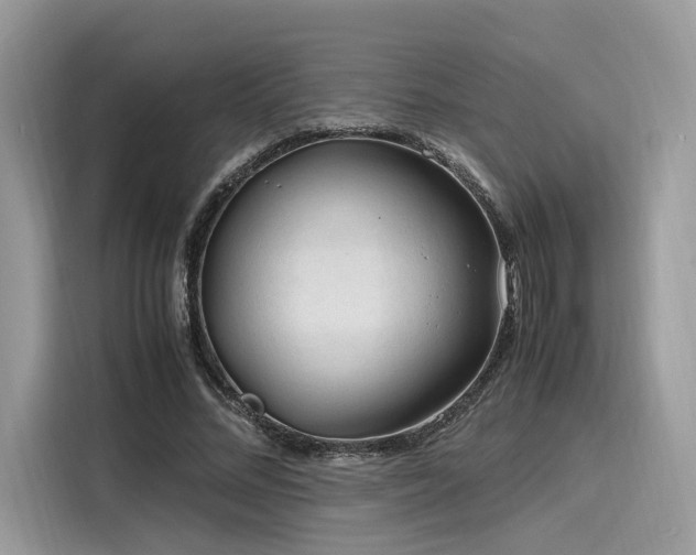X0000116260684200911301153
