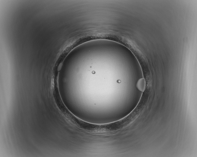 X0000116260685200911301153