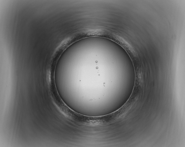 X0000116260686200911301153