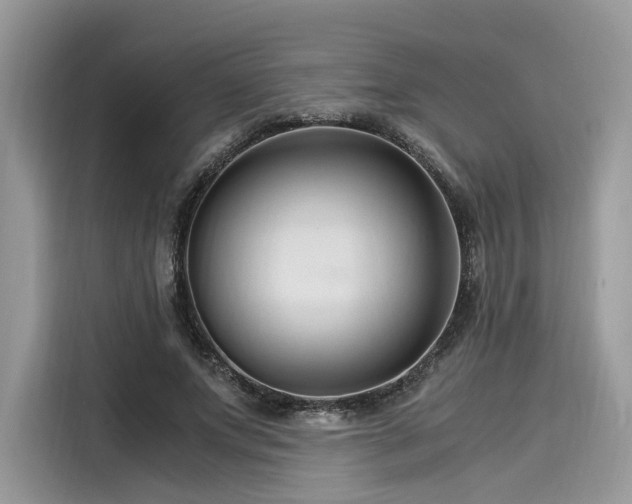 X0000116260687200911301153