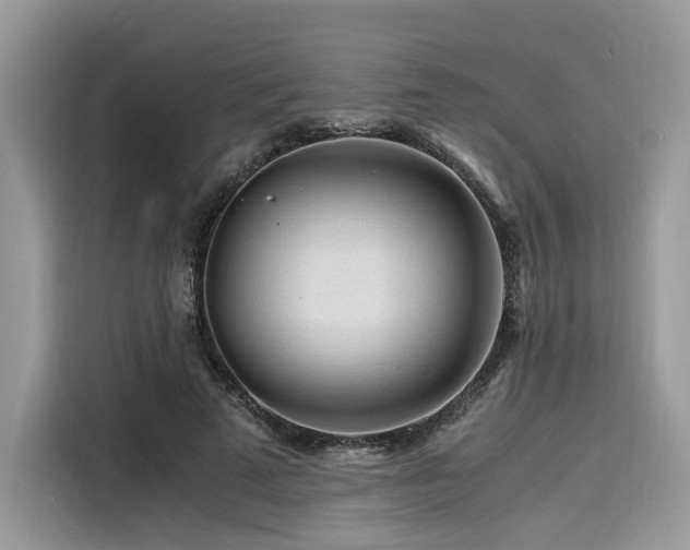 X0000116260689200911301153