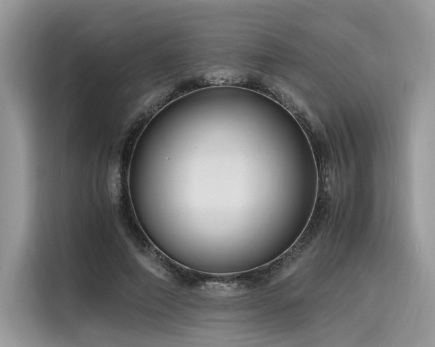 X0000116260690200911301153
