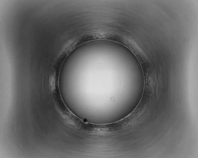 X0000116260694200911301153