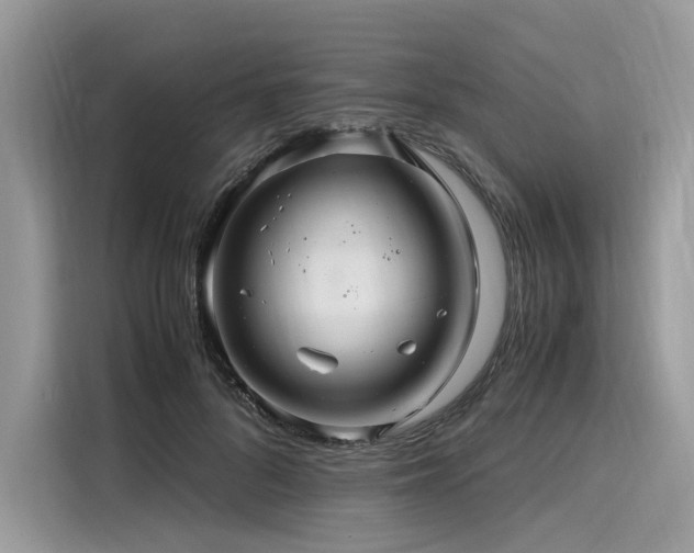 X0000116260696200911301153