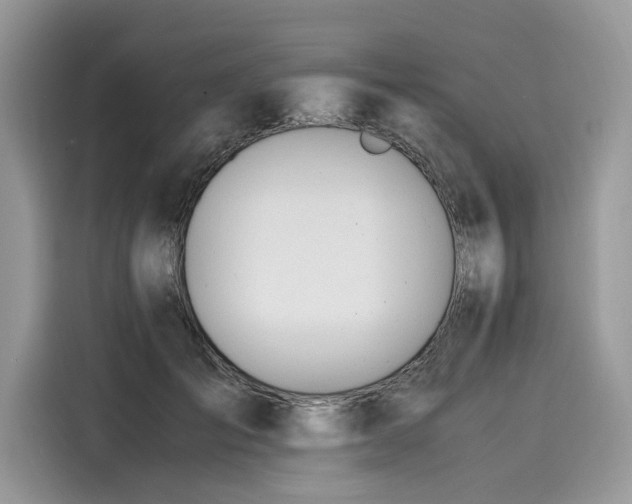 X0000116260701200911301153