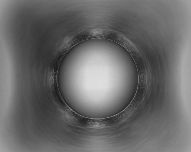 X0000116260702200911301153