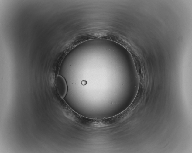 X0000116260704200911301153