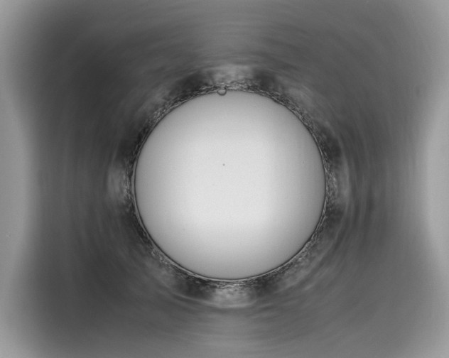 X0000116260705200911301153