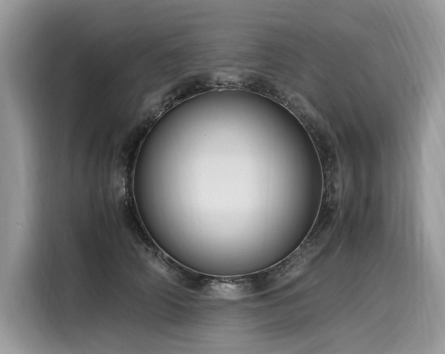 X0000116260706200911301153