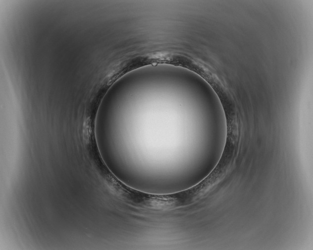 X0000116260707200911301153