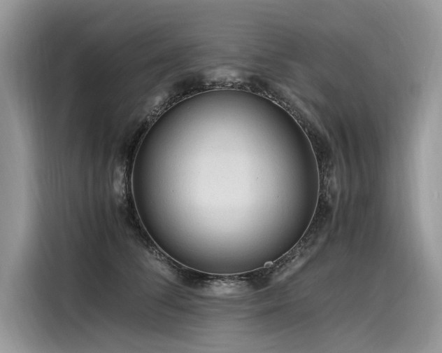 X0000116260708200911301153