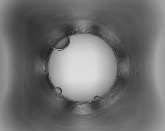 X0000116260709200911301153