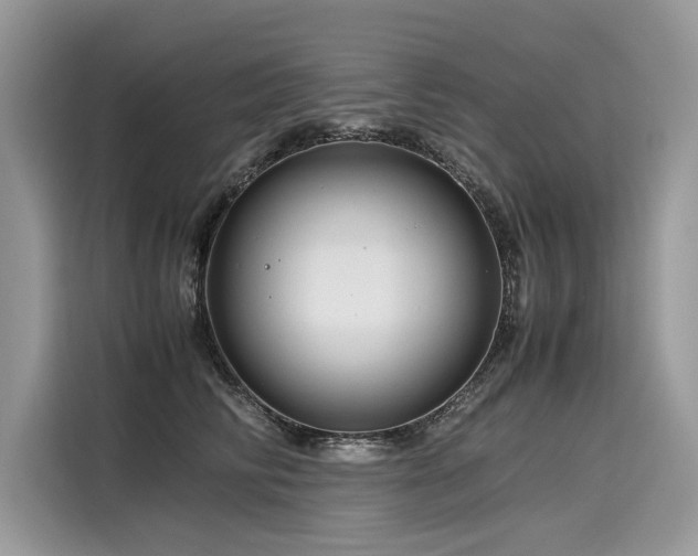 X0000116260710200911301153