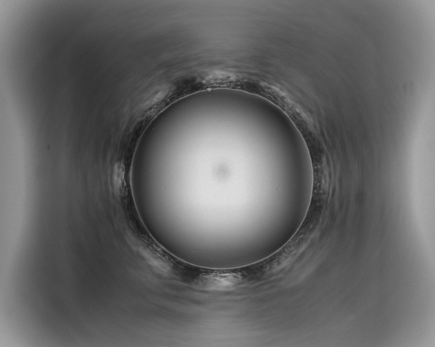 X0000116260711200911301153
