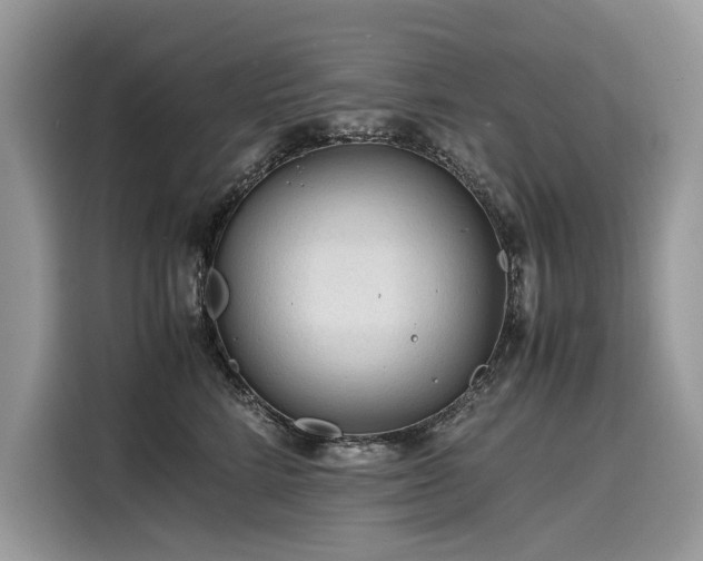 X0000116260712200911301153