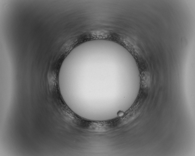 X0000116260713200911301153