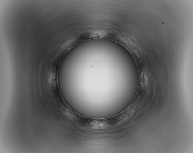 X0000116260714200911301153