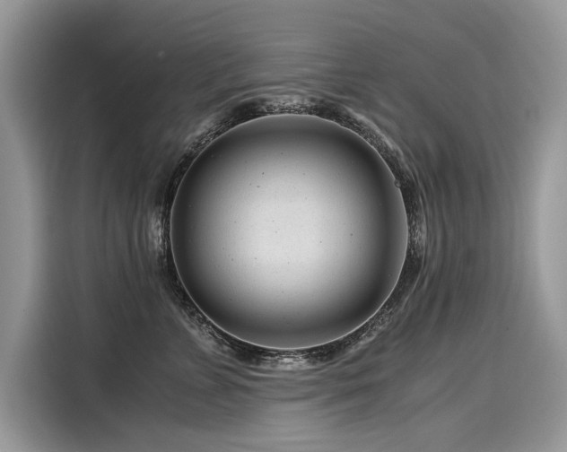 X0000116260715200911301153