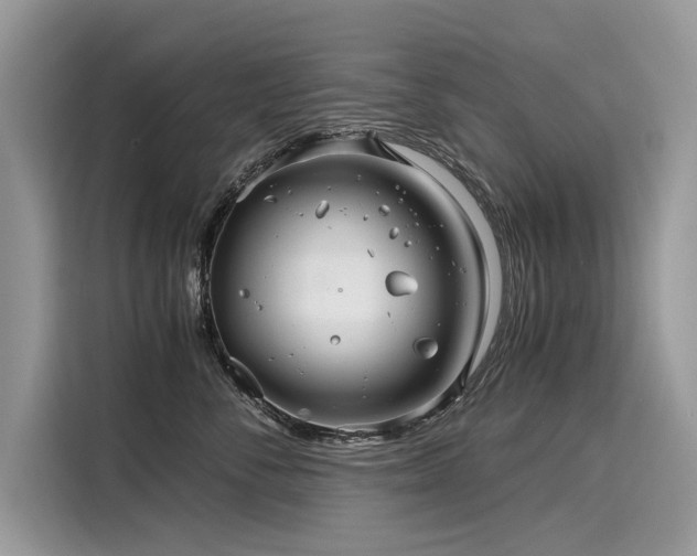 X0000116260716200911301153
