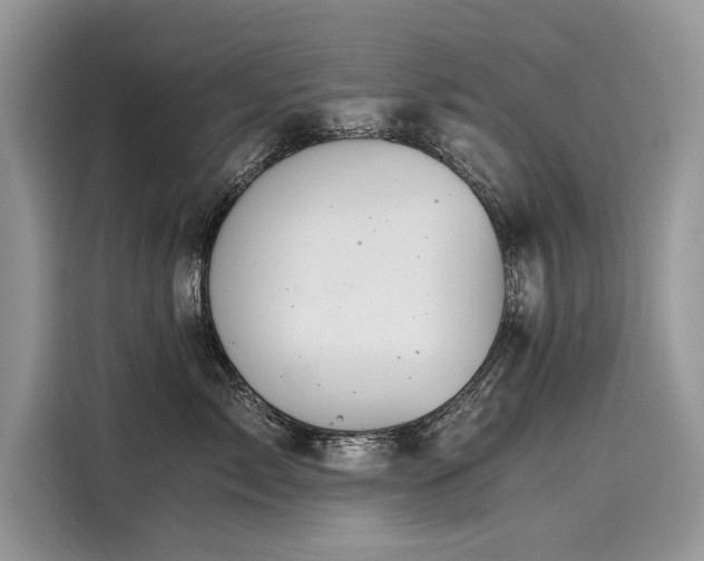 X0000116260717200911301153