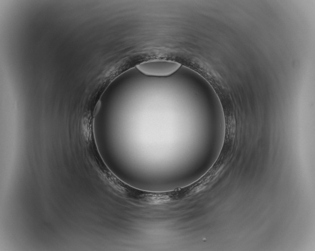X0000116260719200911301153