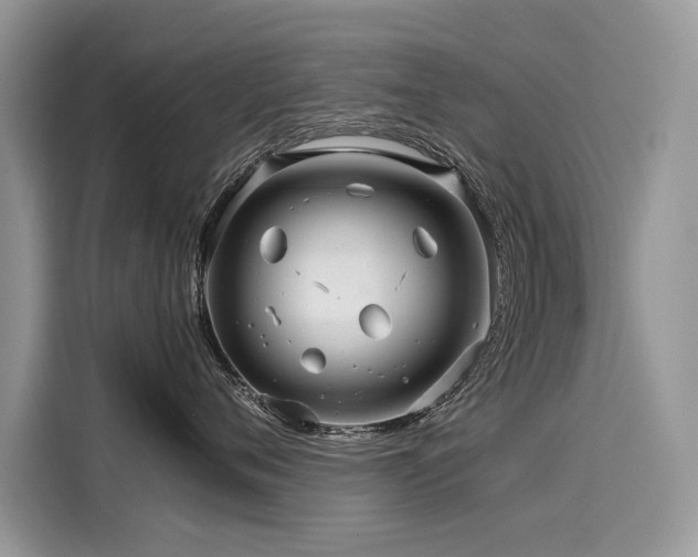 X0000116260720200911301153