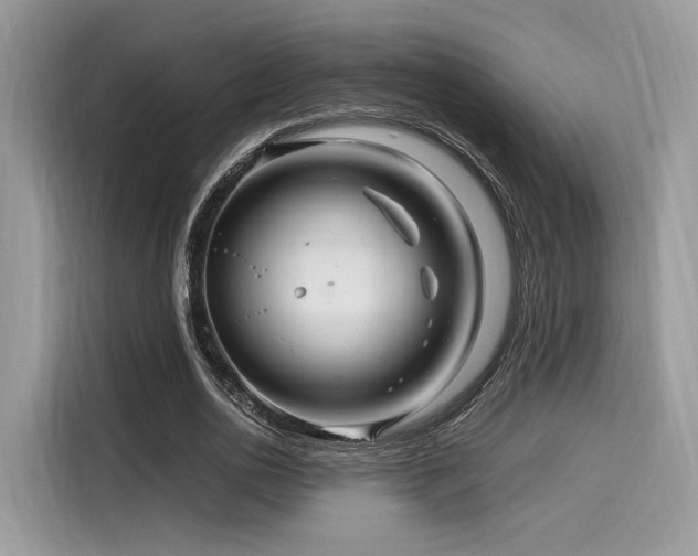 X0000116260726200911301152