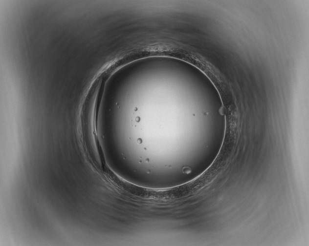 X0000116260727200911301152