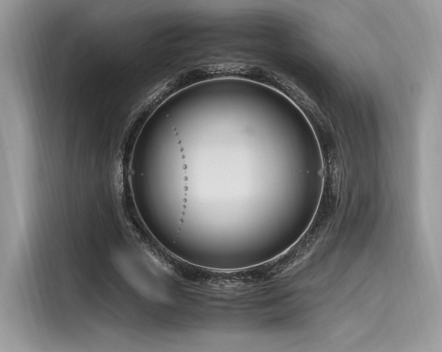 X0000116260729200911301152