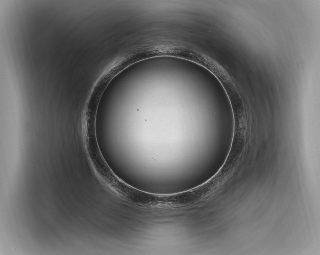 X0000116260730200911301152