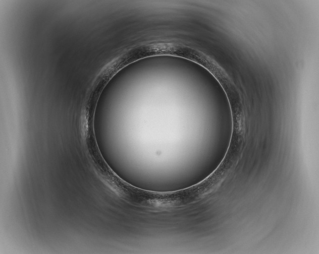 X0000116260733200911301152