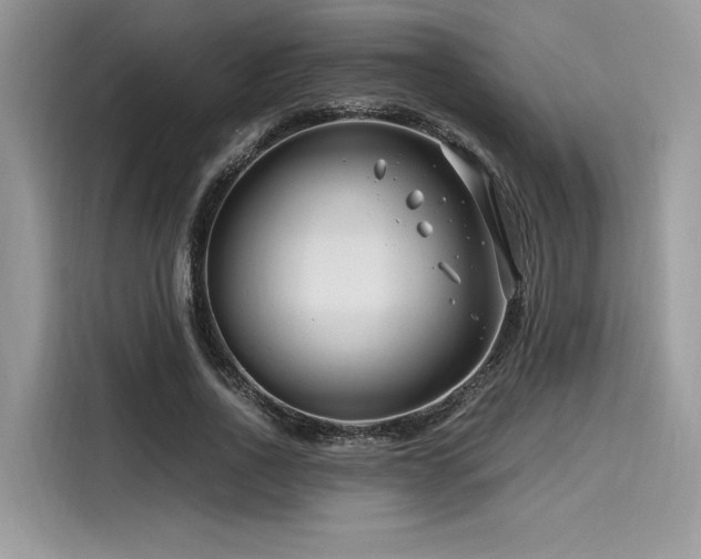 X0000116260734200911301152