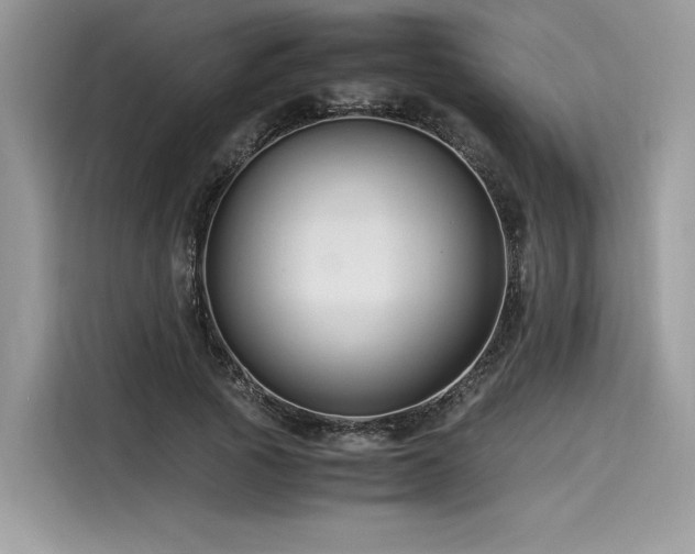X0000116260737200911301153