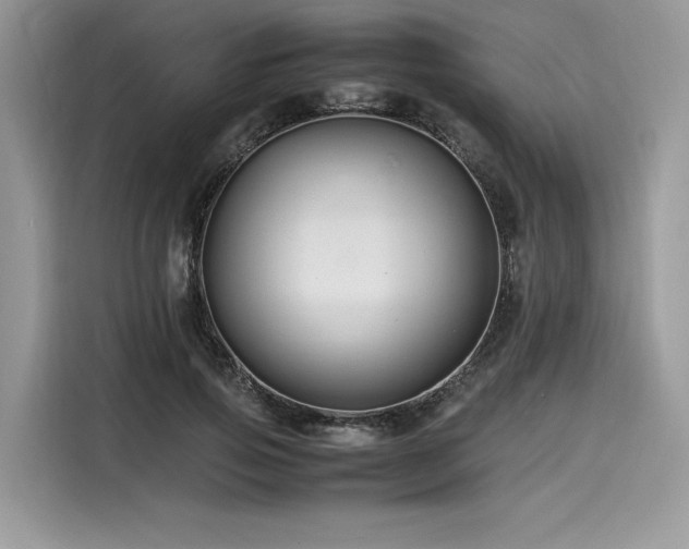 X0000116260741200911301153