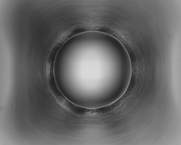 X0000116260742200911301153