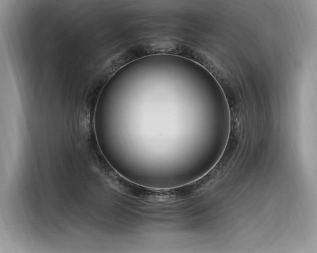 X0000116260745200911301153