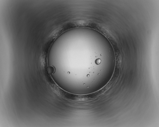 X0000116260746200911301153