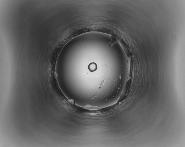 X0000116260750200911301153
