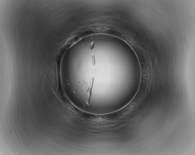 X0000116260755200911301153
